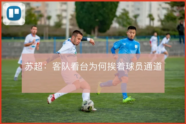 苏超：客队看台为何挨着球员通道